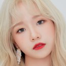 율레코드 Daum카페