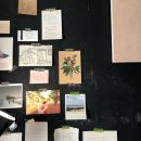 알로하스테이 이미지