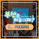꼬마돌쇼핑