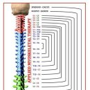 산성한의원 이미지