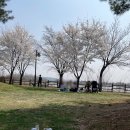 서호꽃뫼 이미지