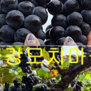 금강모치마을(영) 이미지