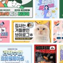 디자인섹터 이미지