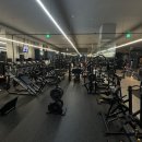 디벨롭짐 이미지