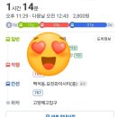 백송헬스 | 덕이짬뽕 🍜