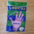 정순 | 떼르메스 정순산업 요술때밀이장갑 내돈내산후기