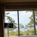 유목 | 포항 감성 숙소 ‘스테이유목 - M동’ 후기