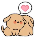 데일리독 의정부강아지분양 애견분양 이미지
