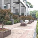 분당-196 이미지