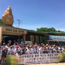 판상농장 이미지