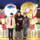 함평천지종합복지관 | 2025 함평 겨울 빛 축제, 야경! 황금 받기 이벤트 개막식/주차/코스 완벽정리