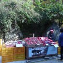 부석사 입구 이미지