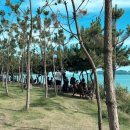 셀럽 | 빵 맛집, 오션뷰도 맛집이었던 카페 셀럽 후기