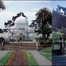 골든게이트 이미지