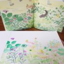 봄 숲으로 가자 이미지