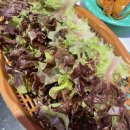 기순네오리상회 | 김포장기동맛집_장기동 오리주물럭 맛집, 기순네오리상회