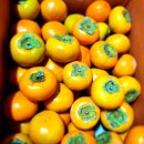 종갑농장 이미지