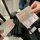 주식회사 메인퀘스트 | 2년 전 일본 여행 가서 찍은 사진