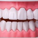 서울독일치과의원 이미지