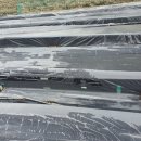 요한농장 이미지