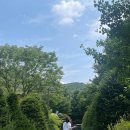 파주파인밸리 | 파주 펜션 추천🌿파주 파인밸리 휴terrace 찐찐 후기