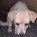 군서면보건지소 이미지