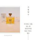 샤넬 가브리엘 향수 가격 후기 남자들이 좋아하는 가을 여자향수