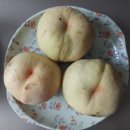 상장곤보건진료소 네이버블로그