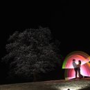 함안 말이산고분군 이미지