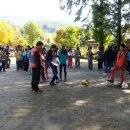 성분도복지관 이미지