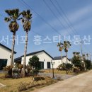 홍스타부동산공인중개사사무소 이미지