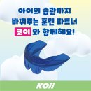 코이(koii) - 강남구 | 코이(koii)
