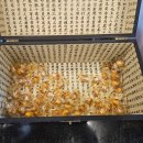 옛날짜장 | 배방 중국집 맛집 “그때 그 시절 옛날반점”수제비짬뽕·옛날짜장·인절미탕수육 후기