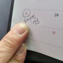 53 / 주인닮아서 누워있는 사랑니와 함께