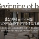 와이즈엑셀