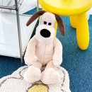 (주)씨앤씨드림 이미지