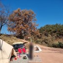 도림사오토캠핑리조트 | 조용한 곡성 캠핑장 추천 도림사국민관광단지오토캠핑리조트 25년5월18일 내용추가
