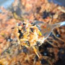 동해시-45 | 김포 석모리 아구찜 동해집 후기