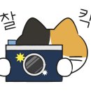 아리랑 돼지국밥 이미지