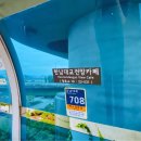 어반플랜트