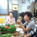 샬롬목장 이미지