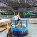 아란 농장 이미지