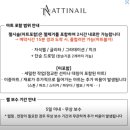 [전주신시가지네일] 가성비 대박 전주네일샵 자석네일 후기 &#39;아띠네일&#39;