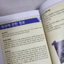 생활여행영어 이미지