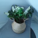 안녕, 모항 이미지