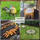 댕댕이 머리하는 날 | [가평] 앵무새랑 함께한 가평댕댕이애견펜션실버