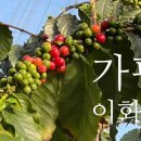 가야식물원 이미지