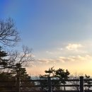 영도치킨 쌀통닭 동삼점에서 신메뉴 마라신 먹은 찐후기