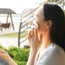 에버콜라겐 워터풀앰플 후기 히알루론산 더한 마시는 콜라겐으로 시작한 데일리 수분 관리