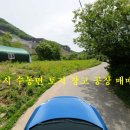 남양주시 수동면 창고 공장 부지 용지 토지 대지 300평 건물 118평 9억 원 매매 이미지